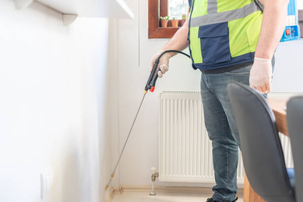 Wasp Removal Services in Cedar Glen West, NJ