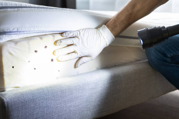 Best Pest Prevention Services  in Cedar Glen West, NJ