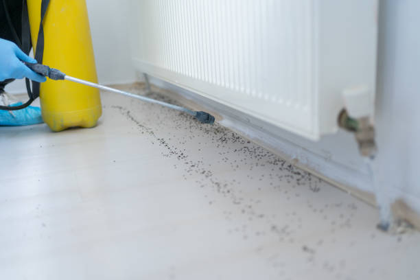Best Commercial Pest Control Services  in Cedar Glen West, NJ