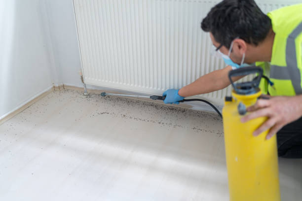 Best Bed Bug Extermination  in Cedar Glen West, NJ