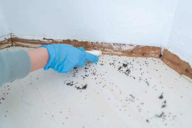 Best Emergency Pest Control  in Cedar Glen West, NJ